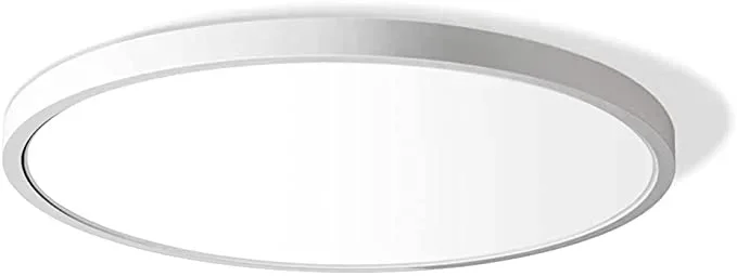 12″ Disk Light