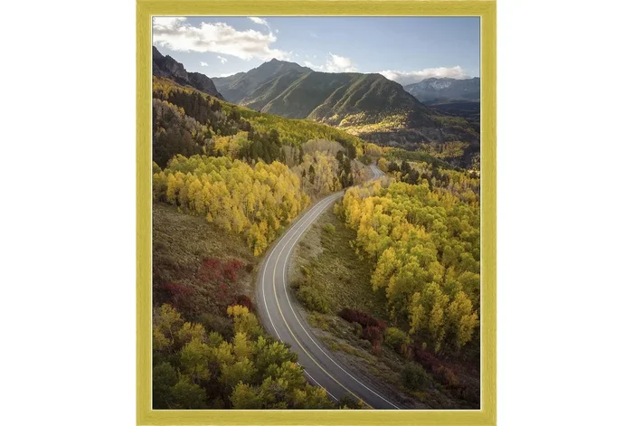 22X26 The Road Less Traveled With Gold Frame | Vertical | Made in the USA | Framed Art | Photography | Abstract
