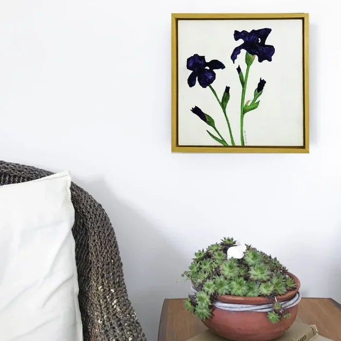 Bearded Iris II – Paintings
