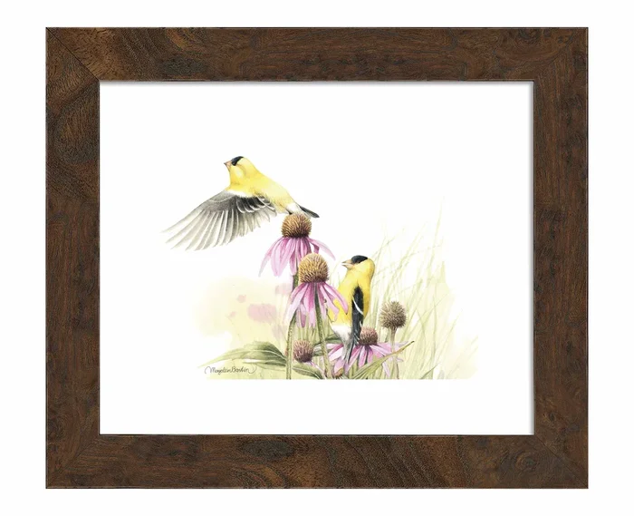 Coneflower Feast – Art Prints