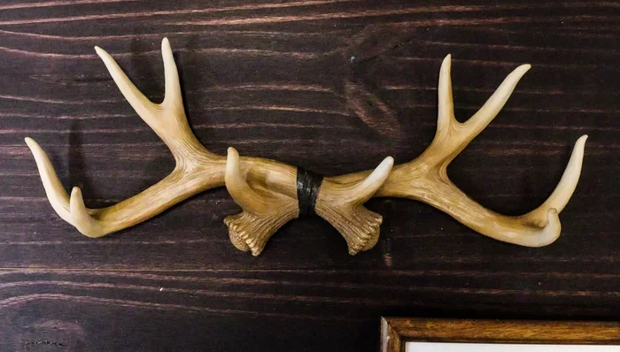 Ebros White Rustic 10 Point Stag Deer Antlers Rack Wall Plaque 17″W Coat Hooks