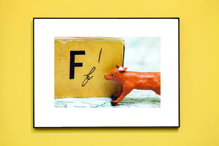F is for Fox // Vintage Alphabet Photograph Series II