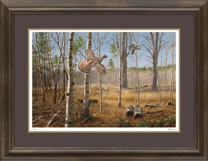 Grouse Meadow – Ruffed Grouse – Limited Edition Paper