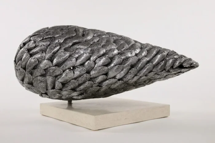 MUSSEL I