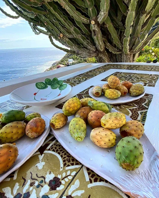 Pala of prickly pears – Dinnerware