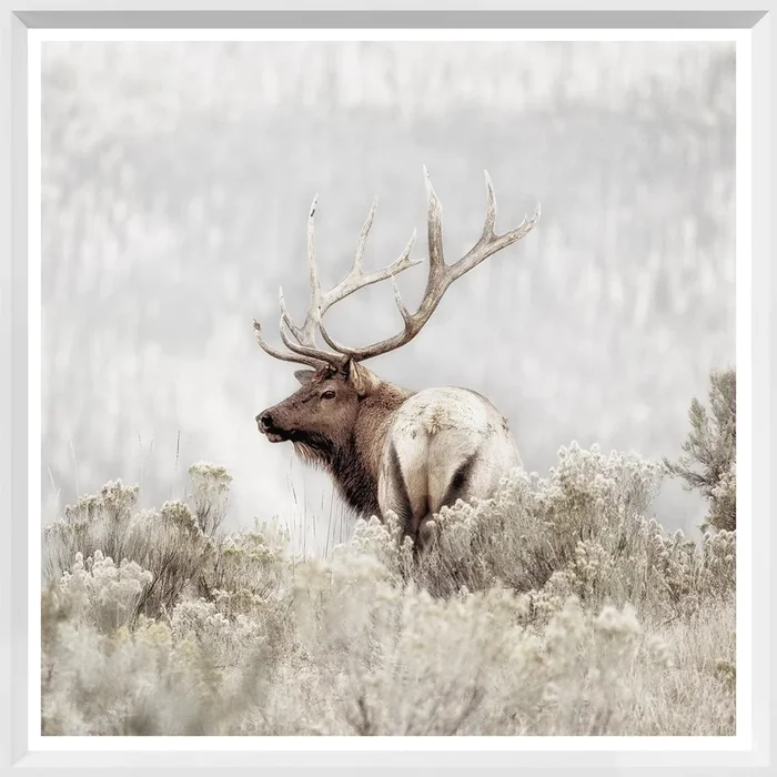 Rocky Mountain Elk – Mini