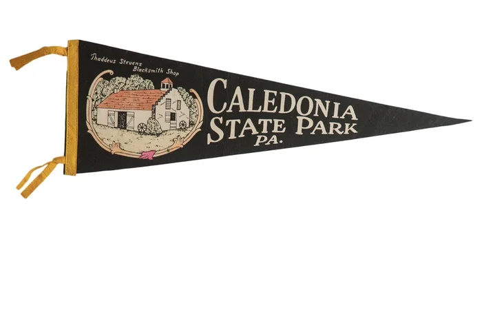 Vintage Caledonia State Park PA. Felt Flag Pennant